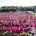 20. Race For Life Cwmbran 20