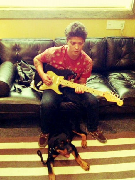 Bruno Mars Writes Some New Music Alongside His New Puppy Dog - Twit Pix ...