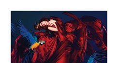 Paloma Faith – 'Fall To Grace' 